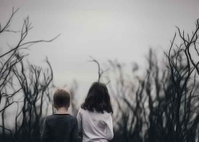 VIP免费特权的器测压文章